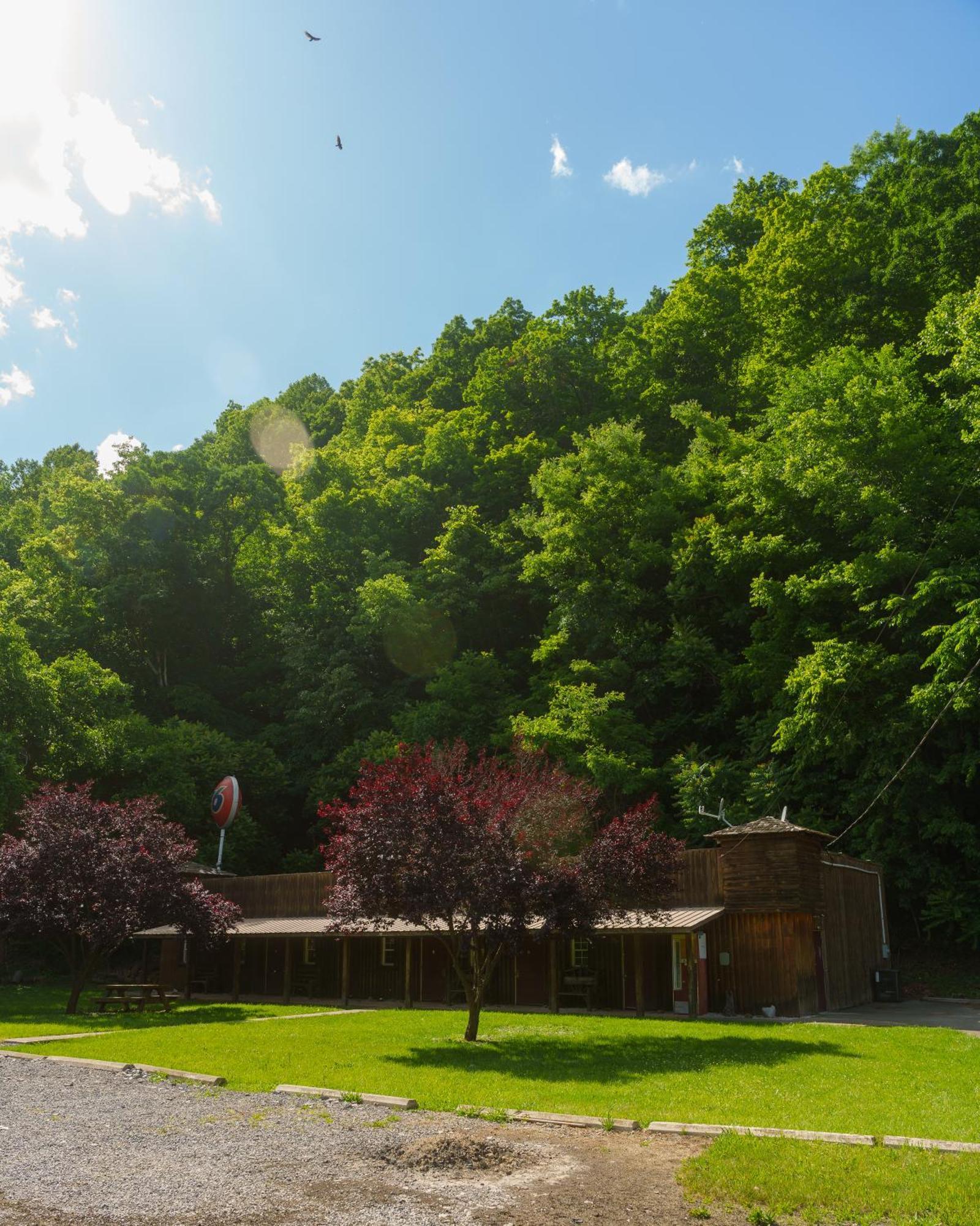 Seneca Pines Lodge Seneca Rocks Dış mekan fotoğraf