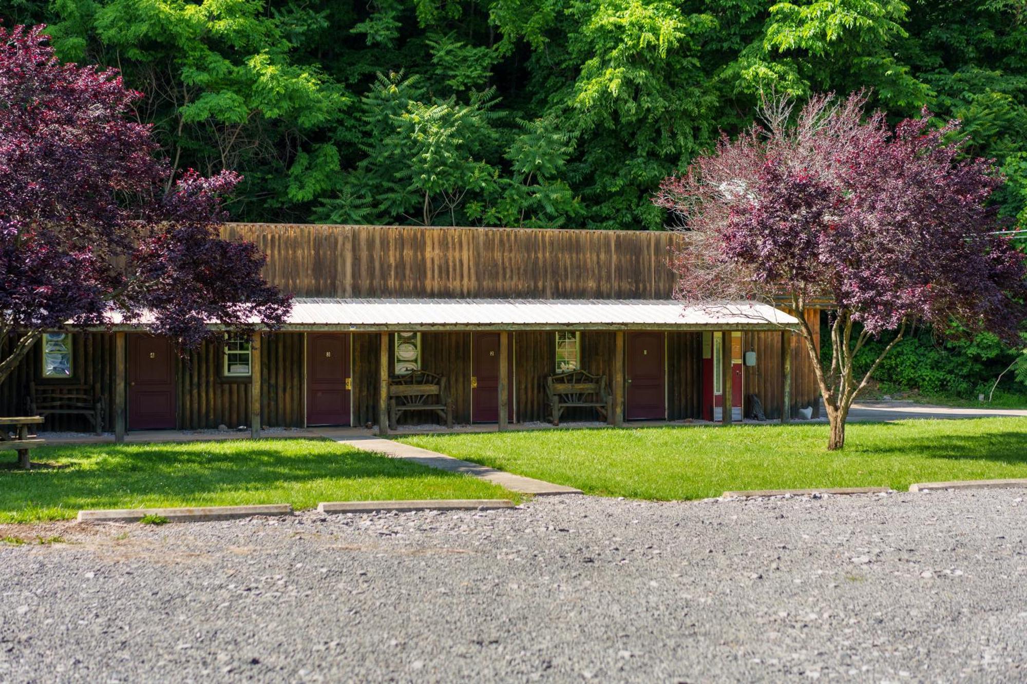Seneca Pines Lodge Seneca Rocks Dış mekan fotoğraf